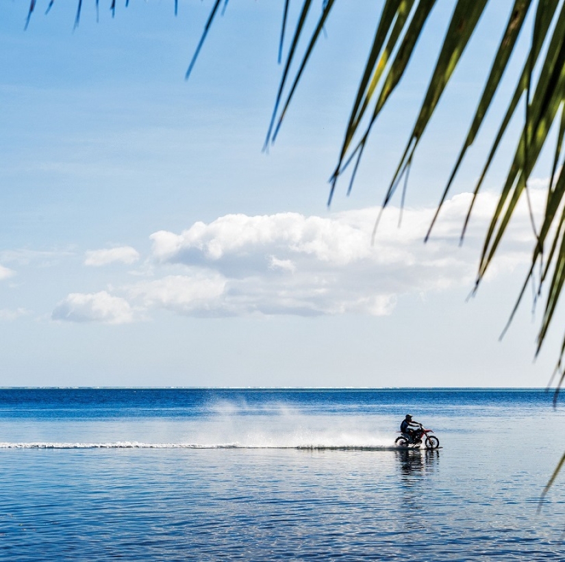 Surfing legend: Robbie Maddison rides a wave on a motorcycle