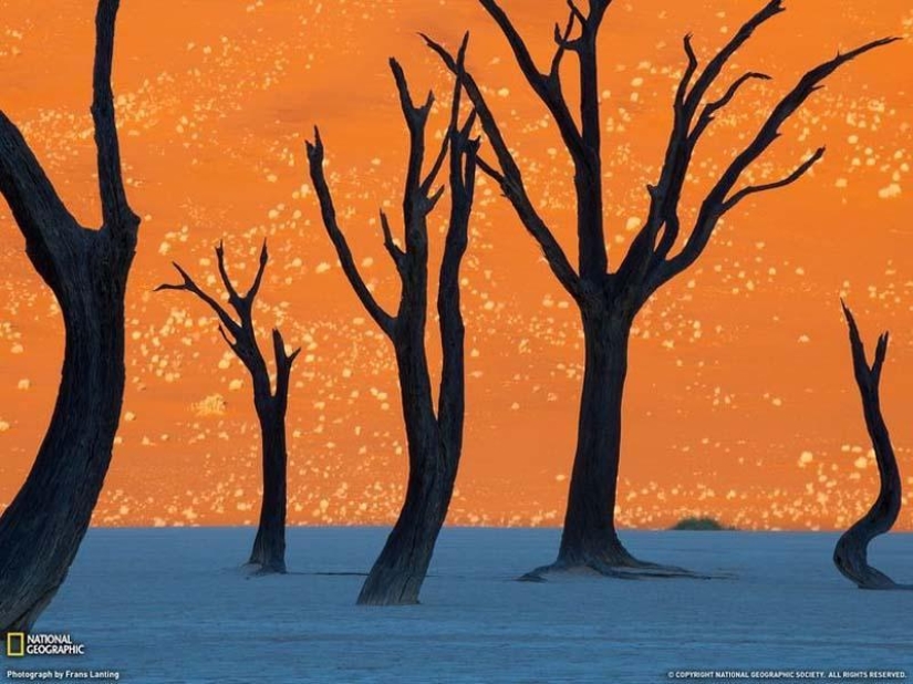 Surreal landscapes of the Namib-Naukluft park Surreal landscapes of the Namib-Naukluft park