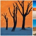Surreal landscapes of the Namib-Naukluft park