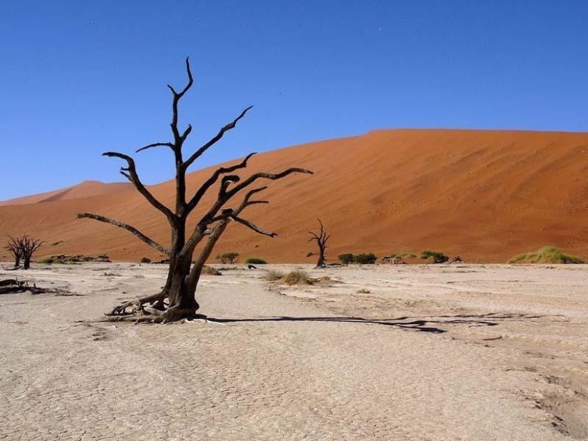 Surreal landscapes of the Namib-Naukluft park Surreal landscapes of the Namib-Naukluft park