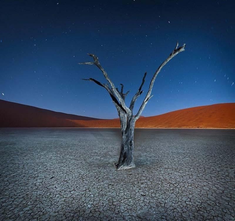 Surreal landscapes of the Namib-Naukluft park Surreal landscapes of the Namib-Naukluft park