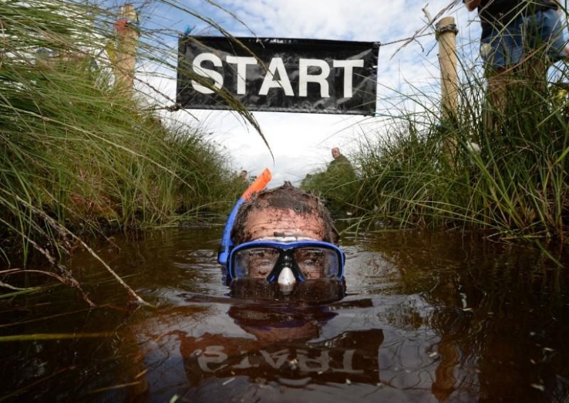 Swamp swim in Ireland