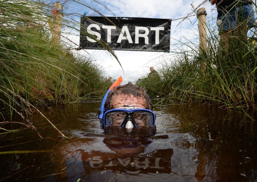 Swamp swim in Ireland