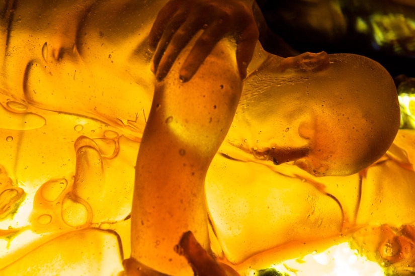 Sweet life and sweet death Sweet life and sweet death