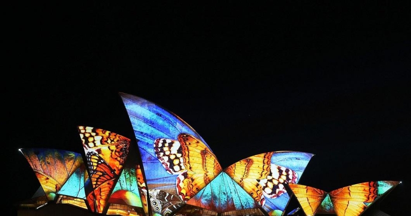 Sydney Light Festival