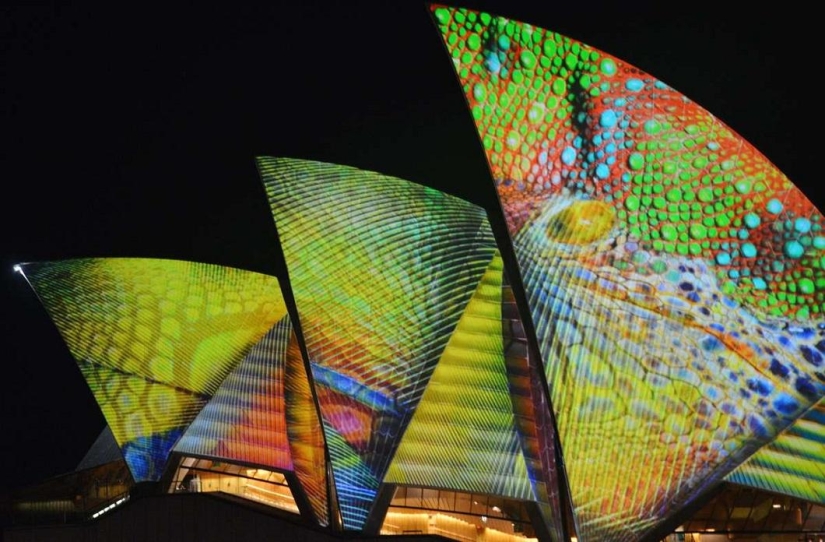 Sydney Light Festival