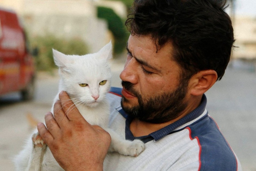 Syrian driver rescues abandoned cats
