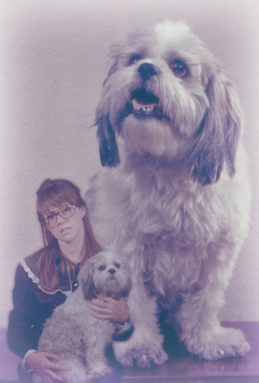 Take off, take off me, photographer