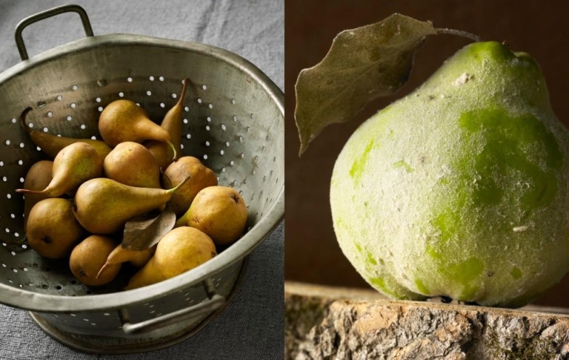 Tasty Still Life by Beth Galton