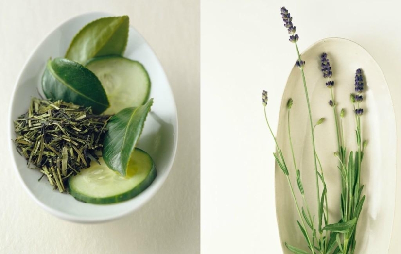 Tasty Still Life by Beth Galton