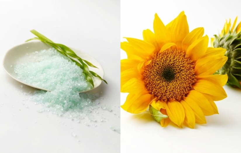 Tasty Still Life by Beth Galton