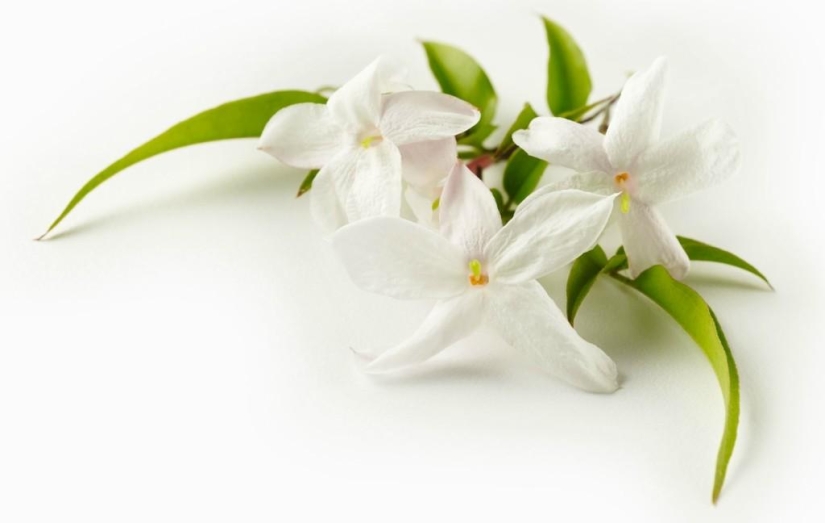 Tasty Still Life by Beth Galton