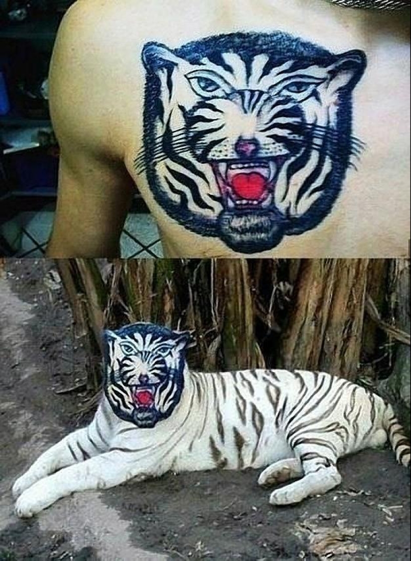 Tatuajes irreales de personas y animales reales. Tatuajes irreales de personas y animales reales.