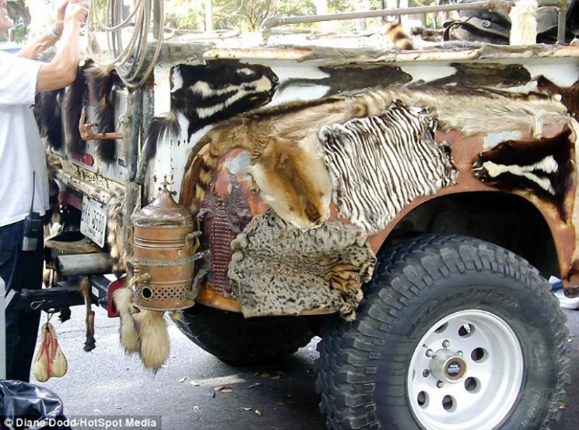 taxidermy truck