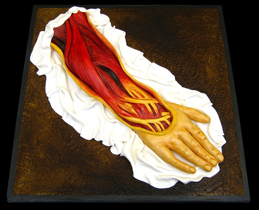 ¡Te sorprenderán estos pasteles!