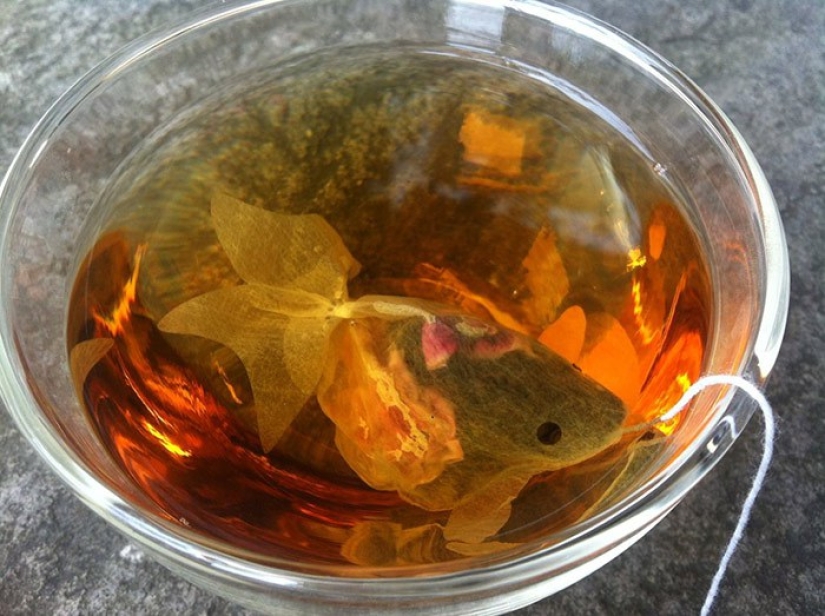 Tea bags that transform an ordinary cup into an aquarium with a goldfish