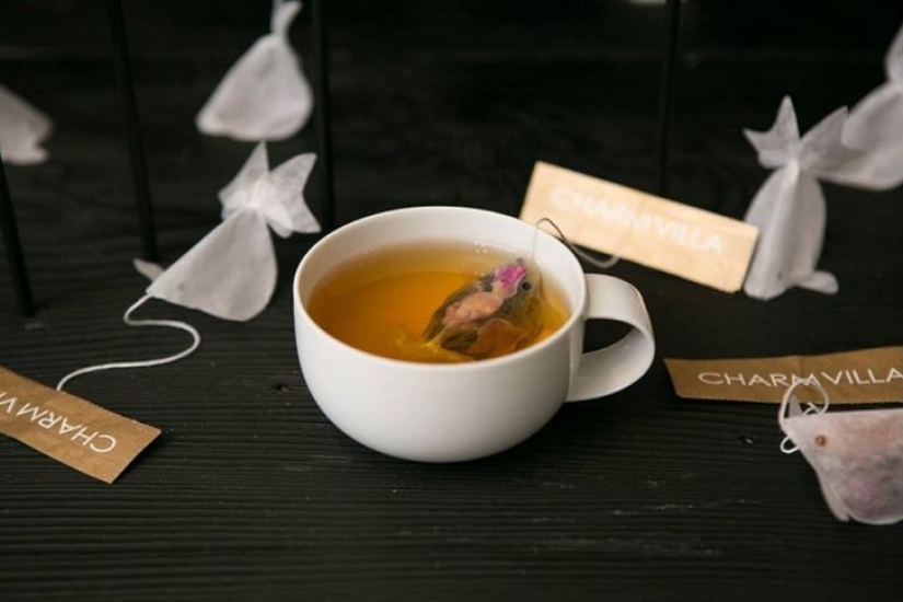Tea bags that turn into goldfish in a cup Tea bags that turn into goldfish in a cup