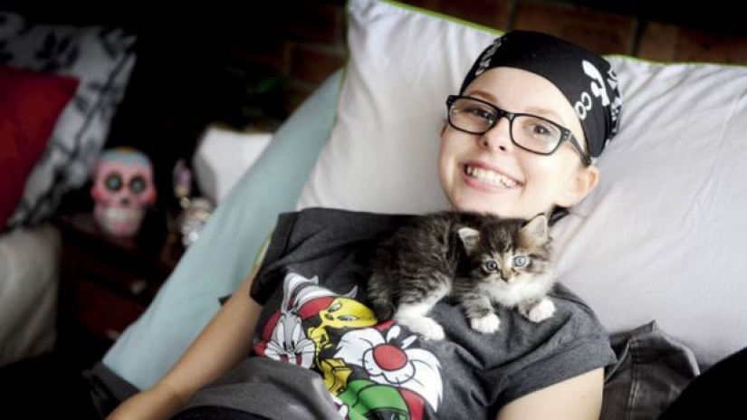 Teachers and classmates arranged a terminally ill schoolgirl graduation dream