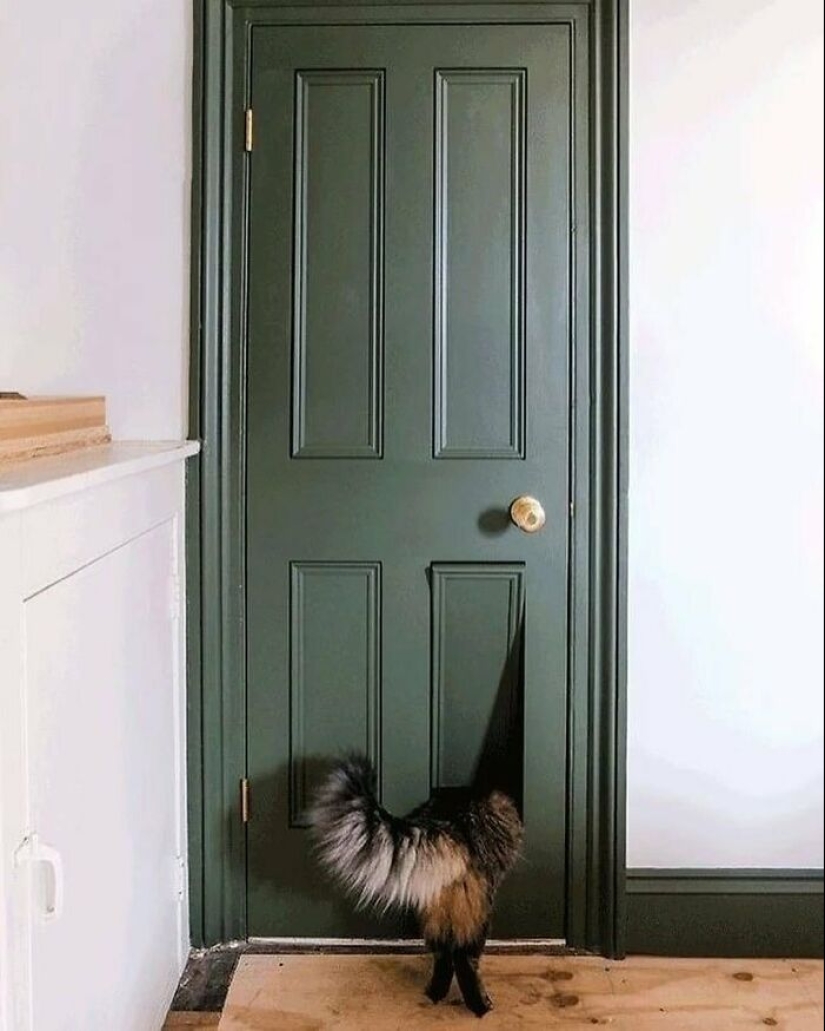 “Terapia de diseño”: 15 diseños inteligentes que son tan innovadores como visualmente atractivos, según lo compartido en esta página de Instagram