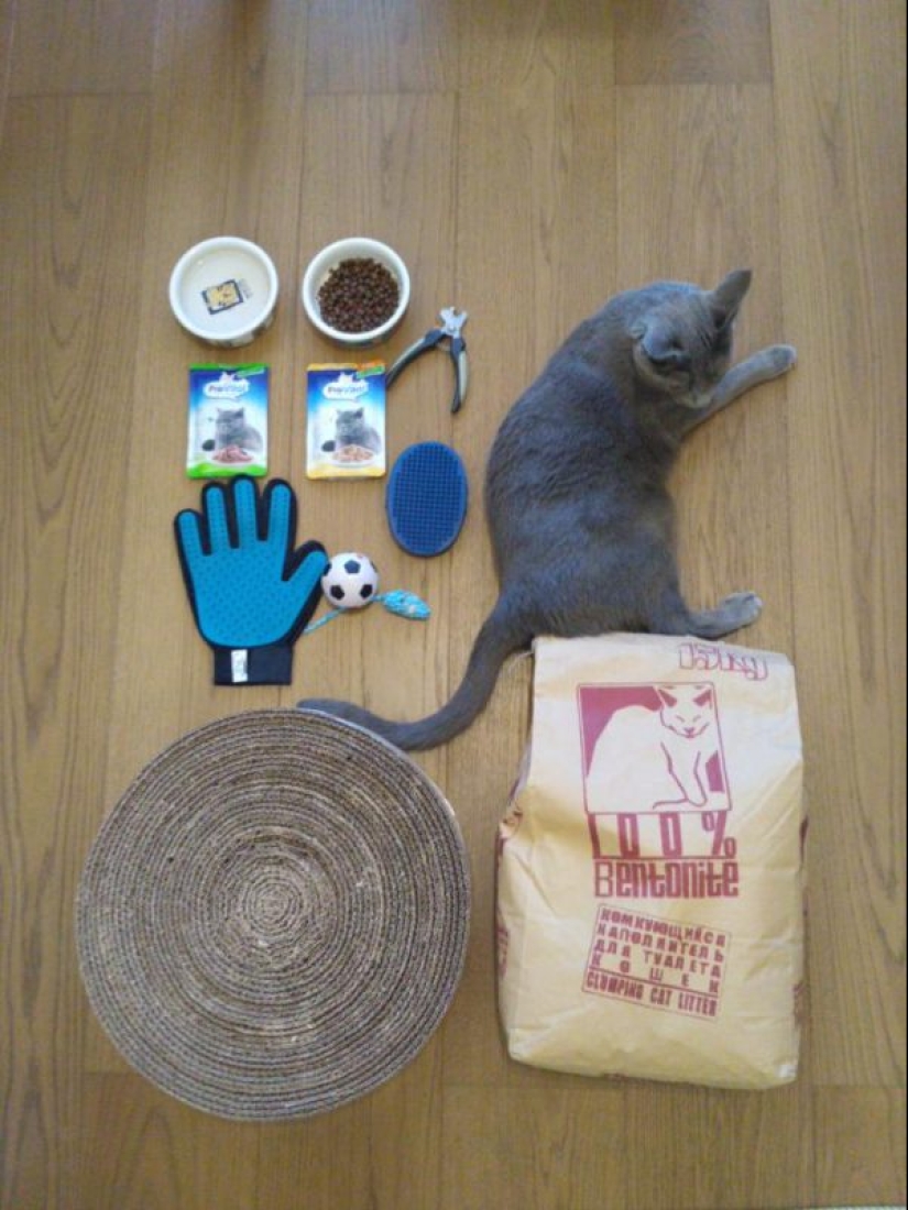 Tetris Challenge: los 25 mejores fotos de la flash mob que ha infectado a todo el mundo Tetris Challenge: los 25 mejores fotos de la flash mob que ha infectado a todo el mundo