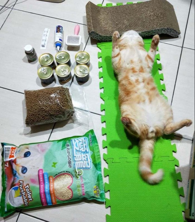 Tetris Challenge: top 25 photos of the flash mob that has infected the whole world