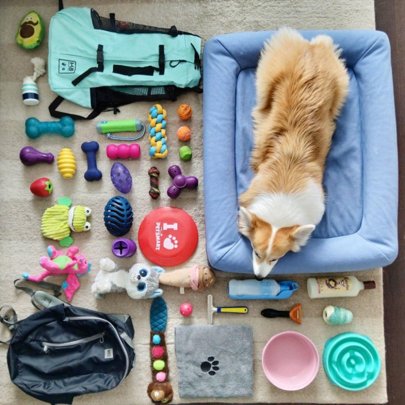 Tetris Challenge: top 25 photos of the flash mob that has infected the whole world