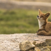 The 20 Best October Snapshots from National Geographic