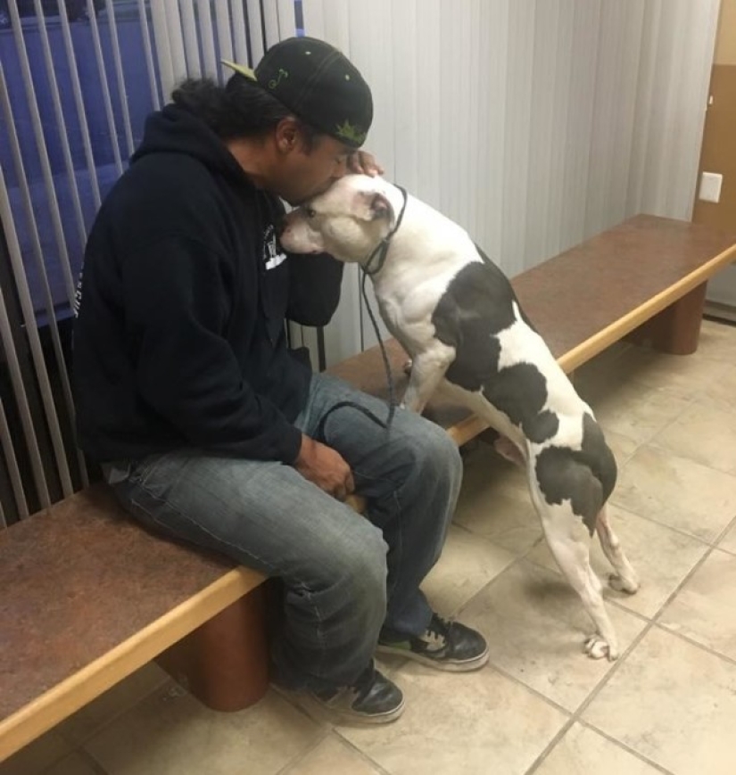 The abandoned dog could not believe for a month that the owners had left forever