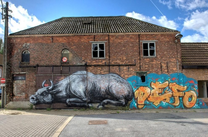 The abandoned village of Doel and its amazing street art