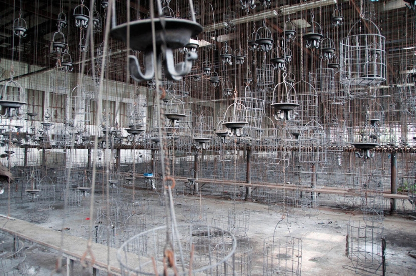 The Adventures of a Serial Intruder The Adventures of a Serial Intruder