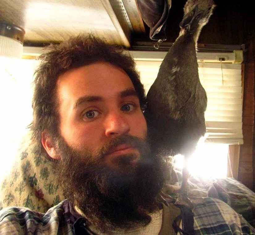 The amazing story of saving a duckling... in a beard