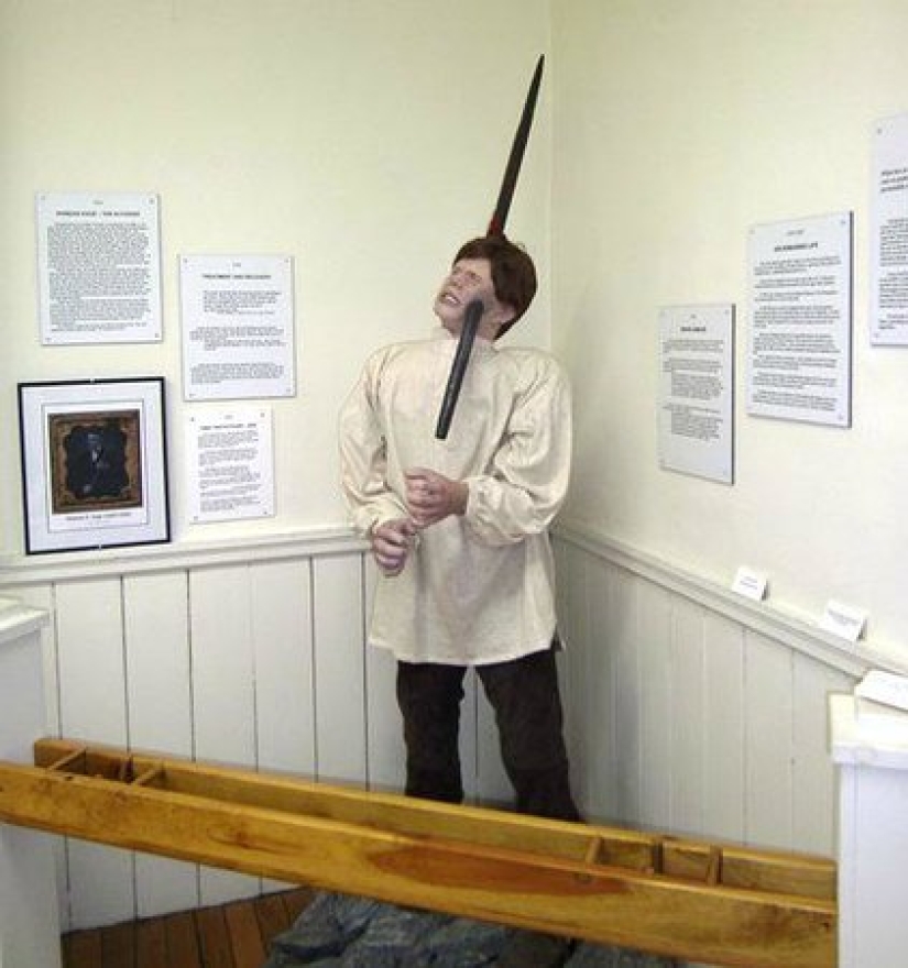 The amazing story of saving a duckling... in a beard