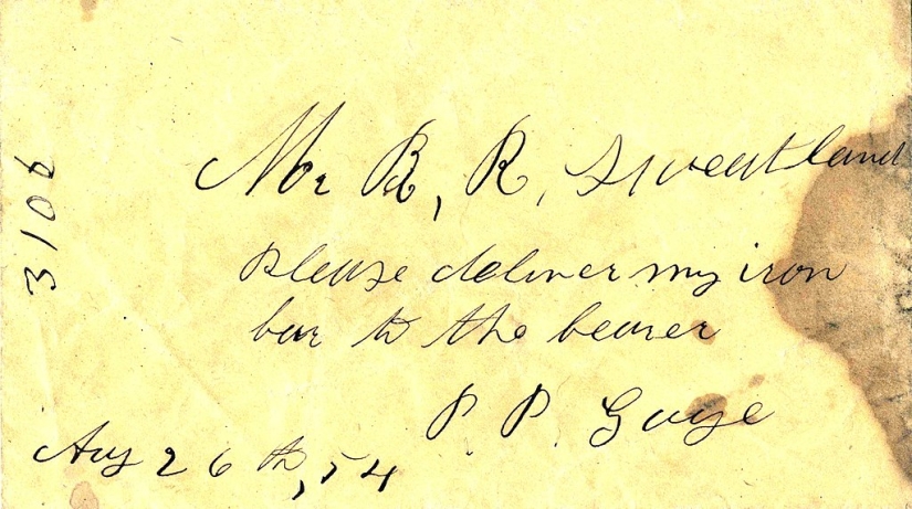 The amazing story of saving a duckling... in a beard