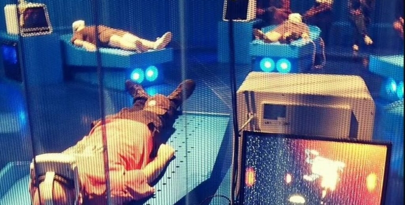 The artist created a "death simulator" immersing in the afterlife