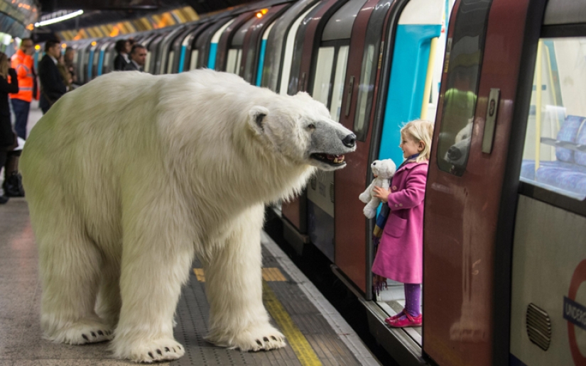 The bear was led through the streets The bear was led through the streets