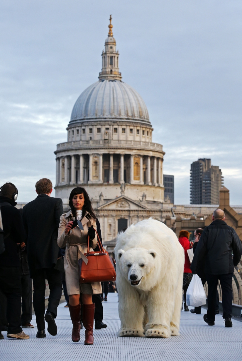 The bear was led through the streets The bear was led through the streets