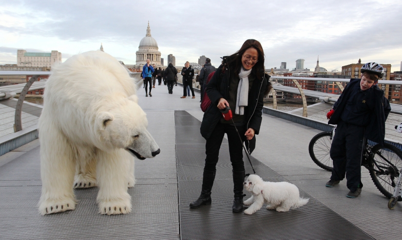 The bear was led through the streets The bear was led through the streets