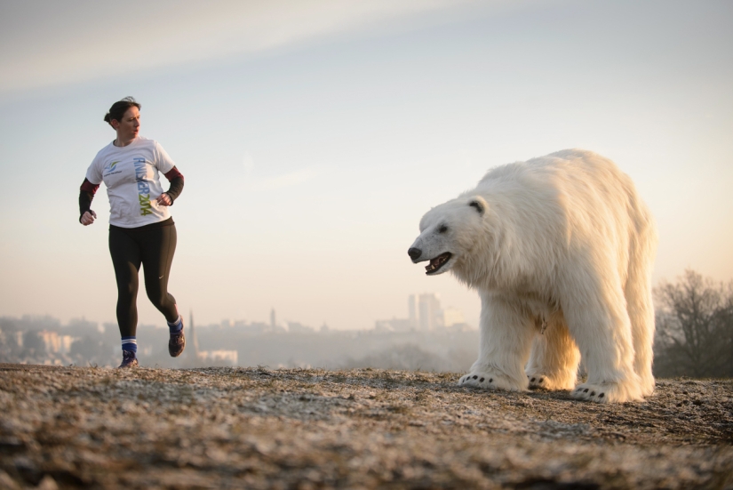The bear was led through the streets The bear was led through the streets