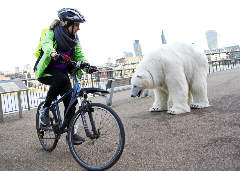 The bear was led through the streets The bear was led through the streets
