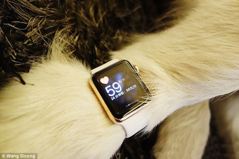 The Beautiful Life of China's Golden Youth The Beautiful Life of China's Golden Youth