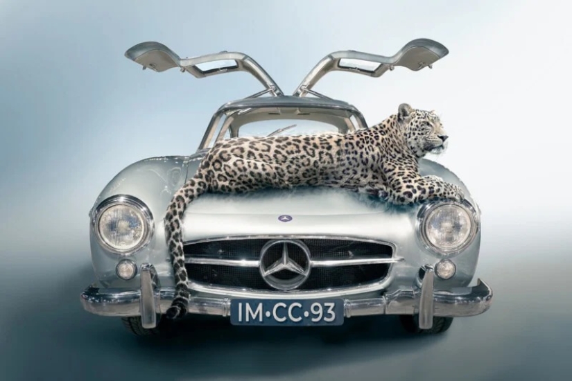 The Beautiful Winning Images of the 2023 Siena Creative Photo Awards