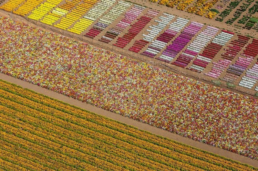 The beauty of our world from above