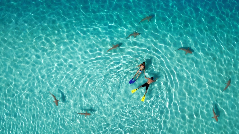 The best aerial photos taken by drones