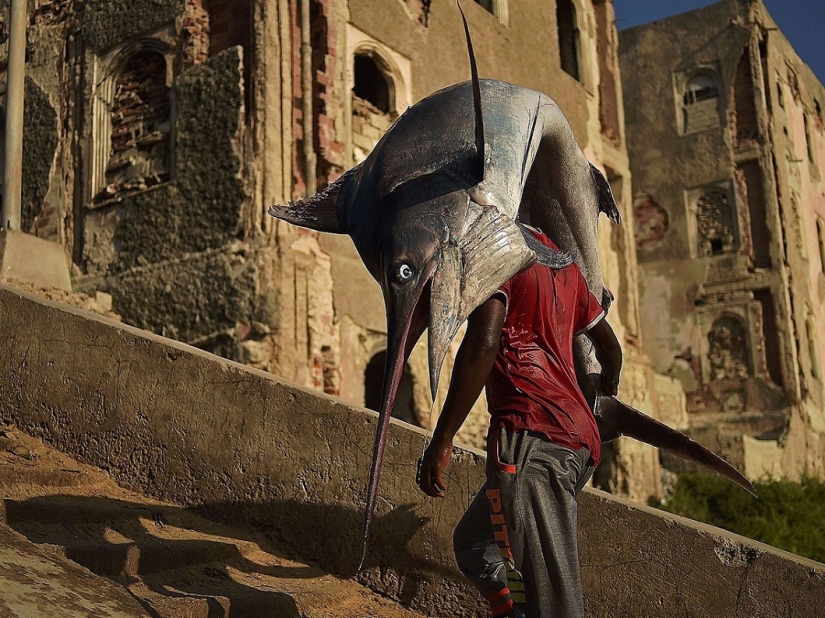 The best animal photos from around the world this week