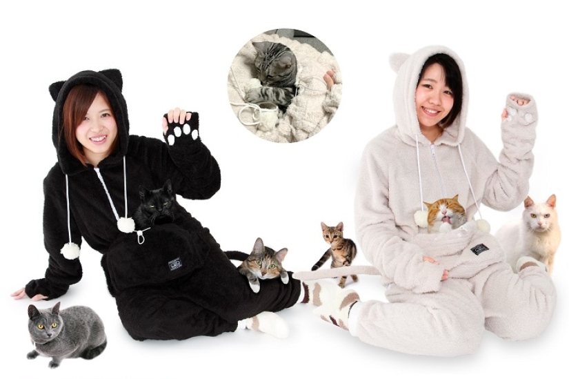 The best gift for a cat owner for the New Year!