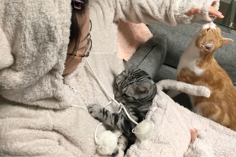 The best gift for a cat owner for the New Year!