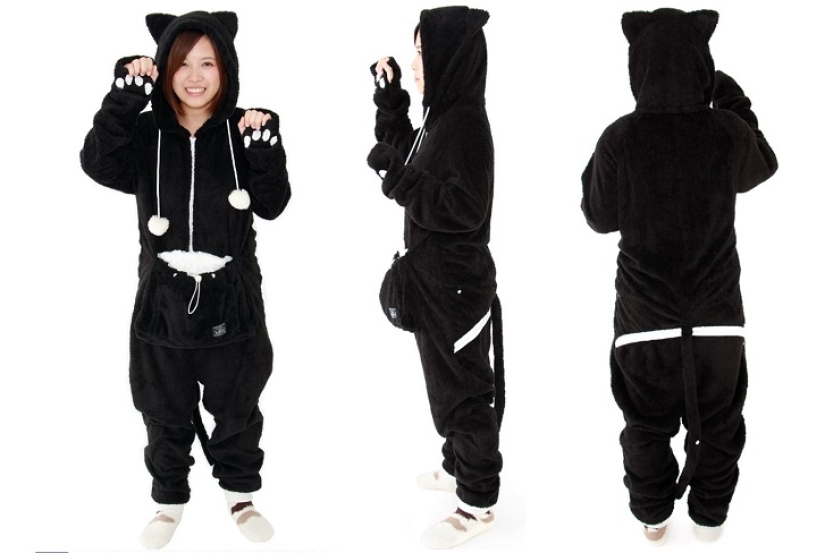 The best gift for a cat owner for the New Year!