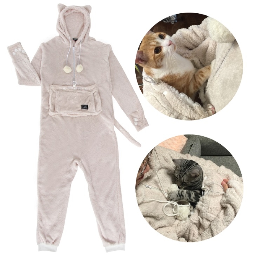 The best gift for a cat owner for the New Year!