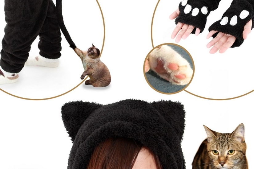 The best gift for a cat owner for the New Year!