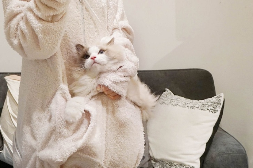 The best gift for a cat owner for the New Year!